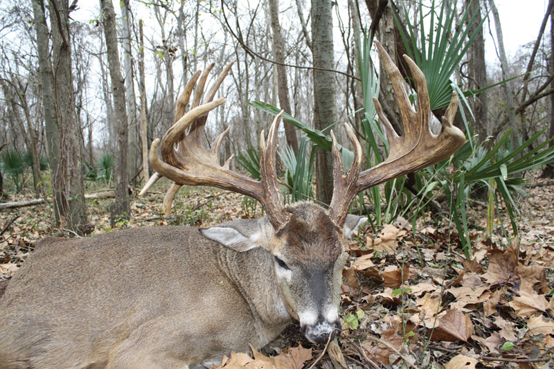 The-Rock-(no-Joshua)